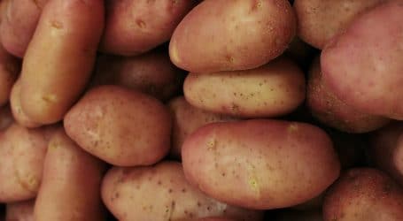 Potato farmers to benefit from partnership