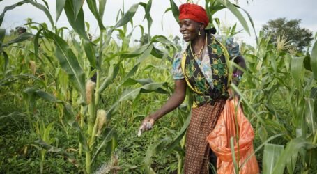 Ghana to host Africa’s first sustainable phosphorus summit to address food, water security