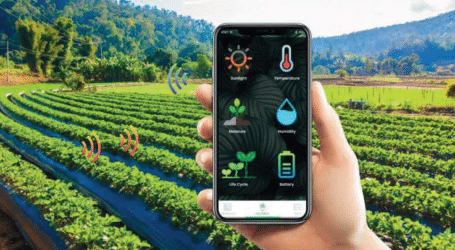 Humans vital despite AI crop pest and disease control