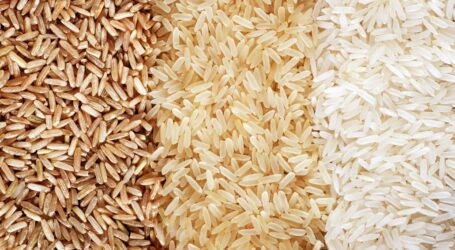 New rice varieties needed as climate change threatens