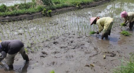 Can agriculture overcome its own water problems?