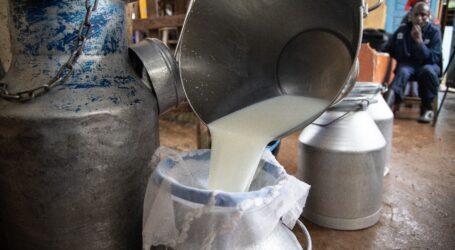 Cooperatives continue receiving low milk supply due to Covid-19 pandemic