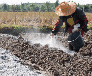 how to lime your soil correctly