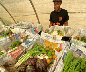 Agroforestry and farming