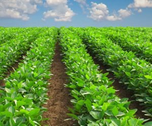 THARAKA NITHI COUNTY