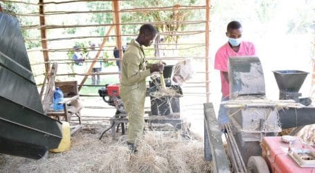 On-farm-feed formulation reduces dairy farmers’ costs by 50 per cent