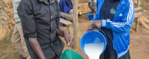 dairy farming in Kenya