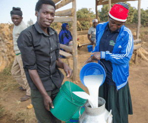 dairy farming in Kenya