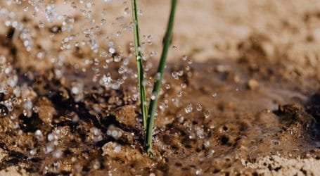 Farmers In Tana River battle drought