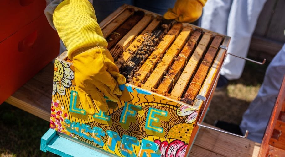 An image of women beekeeping in the attempt to show the way that they too can be involved in the activity.