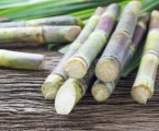 sugarcane farmers to benefit from increased purchase price