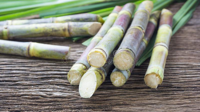 sugarcane farmers to benefit from increased purchase price