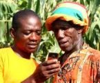 E-dairying tool to help farmers keep track of their livestock and improve diary yield