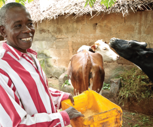 Getting a loan for your dairy farm