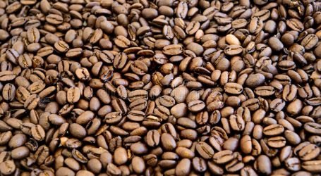 When Kenya’s coffee hit the jackpot — US $60 (≈Ksh7,700)/kg at ACT 2025