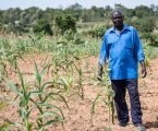 Affordable credit to help farmers with climate change