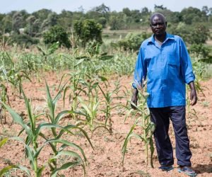 Affordable credit to help farmers with climate change