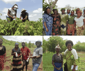 The researchers shared their farmer testimonials and photos from the field