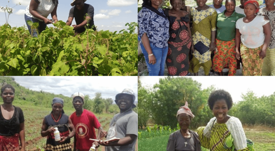 The researchers shared their farmer testimonials and photos from the field