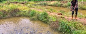 Student thriving through fish farming