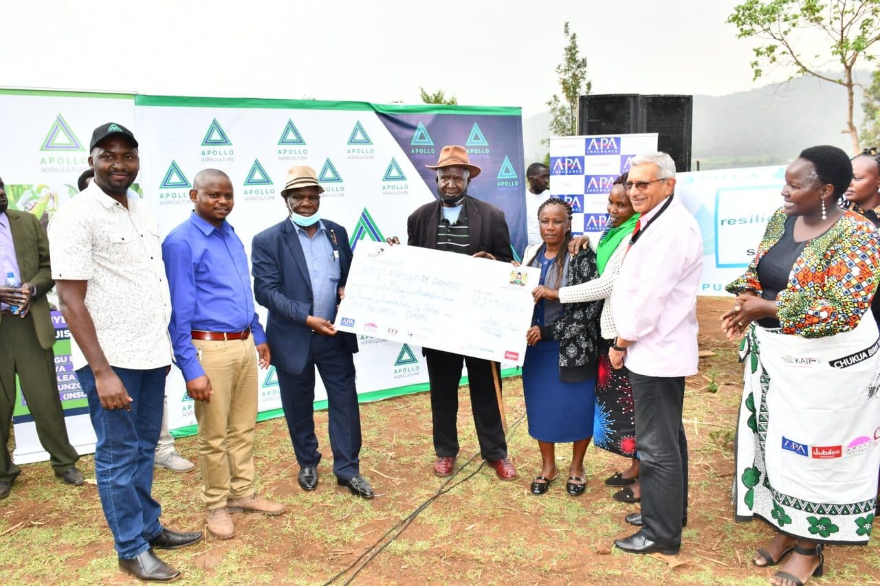 APA insurance gives payout to drought affected farmers in Nandi