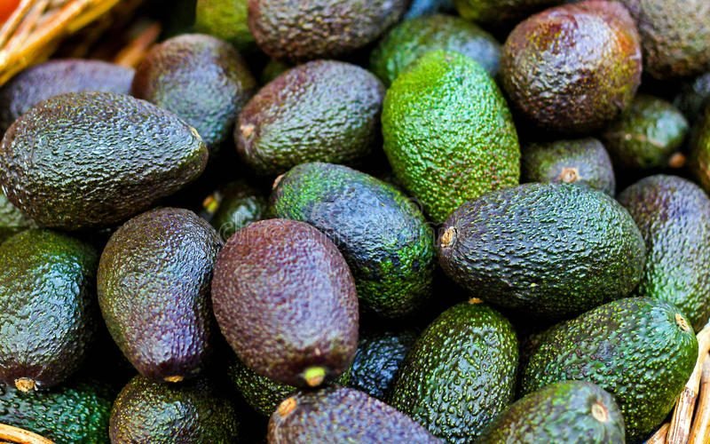 avocados exportation ban