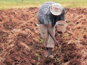 Furore as fertilizer prices rise