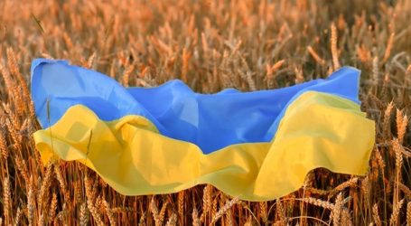 Ukraine ban food exportation in light of war