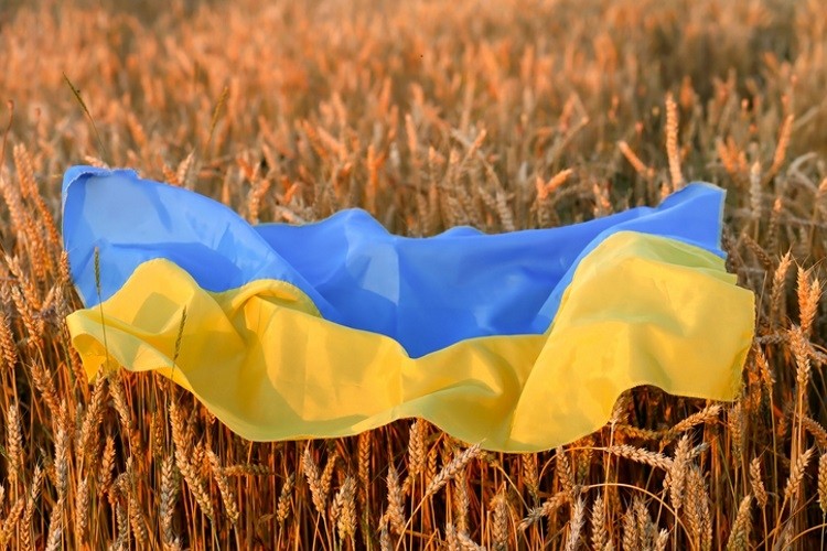 Ukraine ban food exportation in light of war