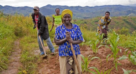 An innovative initiative to transform African agriculture