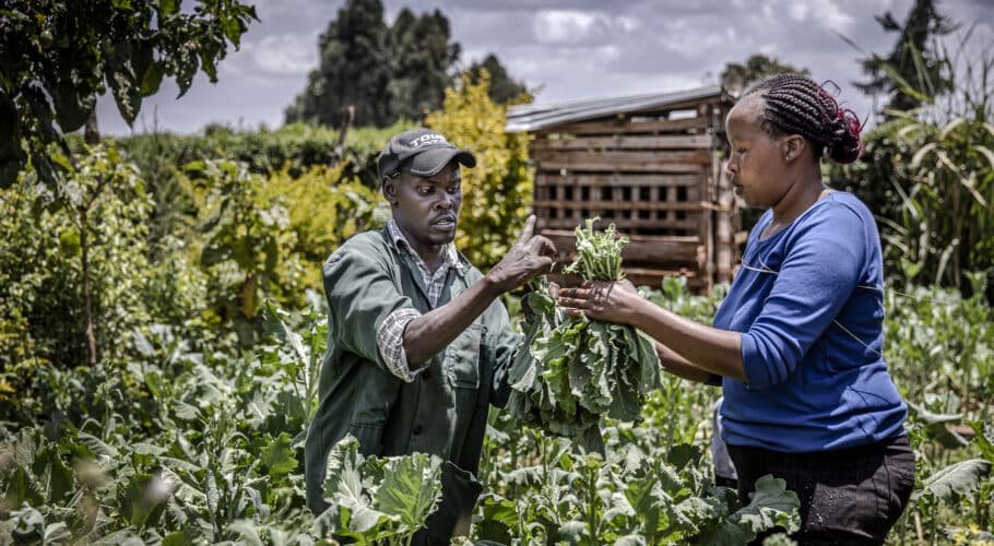 Agriculture sector during the election week