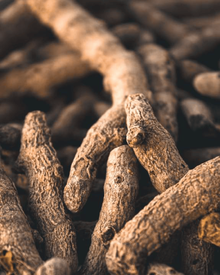 Turmeric The Golden Spice Of Life Smart Farmer Africa