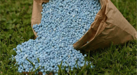 Points to note about fertilisers