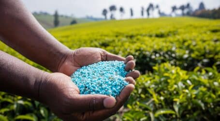 Kenyan farmers in limbo as China reduces manufacture of fertilisers