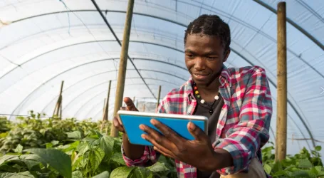 Hopes for the growing African youth population as the continent’s agrifood sector holds untapped potential to deliver jobs and livelihoods-report