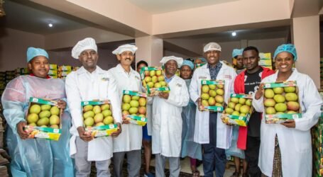 Makueni County Launches Horticultural Aggregation Center to Empower Mango Farmers