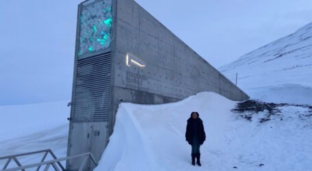 Over 120,000 seeds from 13 African  trees deposited in global seed vault