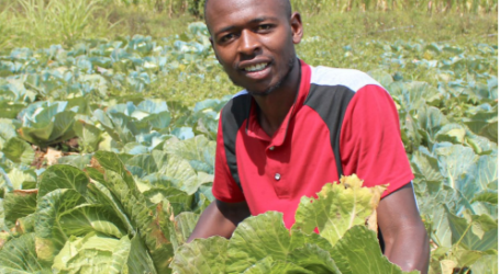 Diploma aside, Munene unearths clean money from vegetable farm