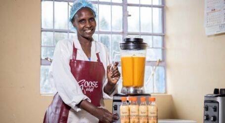 Part Two: How Viola Maina is turning gooseberries into wine, juice, jam and sauces