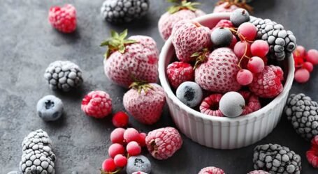 Opportunities for Kenyan farmers in the growing global frozen fruit market