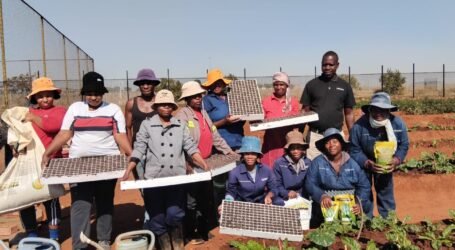 Strengthening Local Food Systems Through Urban Farming and Food Diversity