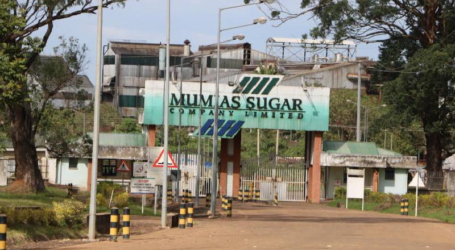 State to privatise state-owned sugar factories in sector overhaul