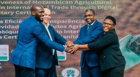 Mozambique launches e-Phyto system to automate license issuance for plant product exports and boost market competitiveness