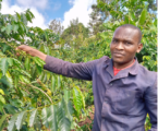 Why young Meru farmer has gone back to coffee business