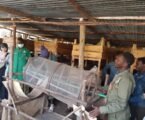 How Kiambu Youth Is Turning Worms and Insects into Thriving Farming Business