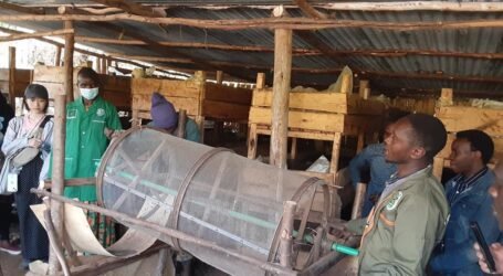 How Kiambu Youth Is Turning Worms and Insects into Thriving Farming Business