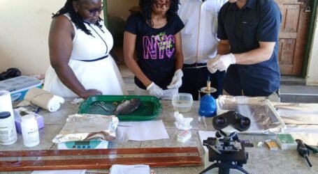 New research supports better disease management in Lake Victoria’s cage fish industry