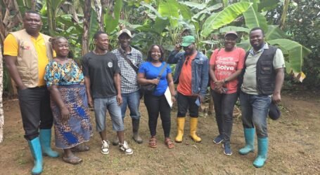Soil health hub employs data science to boost food productivity in West Africa and Sahel