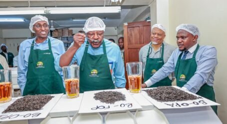 Kenya holds its first-ever orthodox tea auction in a bid to Boost Farmers’ incomes