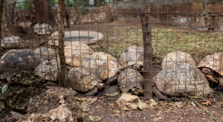 New report exposes the cruel reality of commercial wildlife farming in Kenya